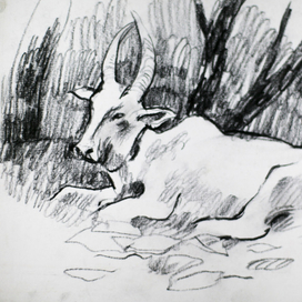 Отчаянные путешественники в Шри-Ланке