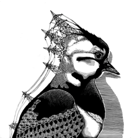 Электричество