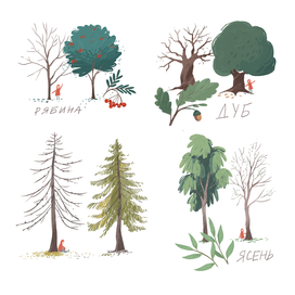 О чем молчат деревья