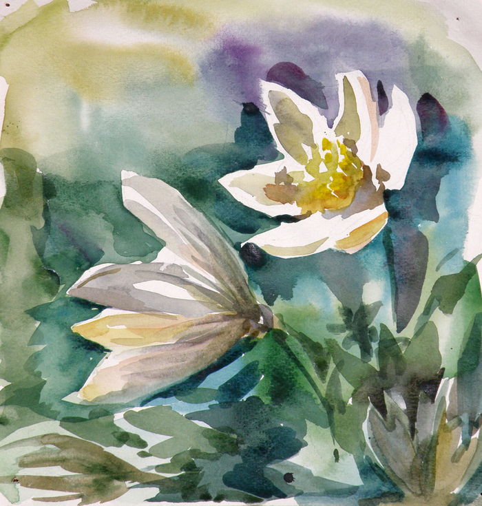 Акварельный набросок