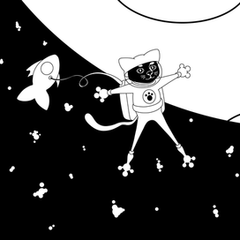 Котик в космосе