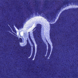 fright from the ghost mouse