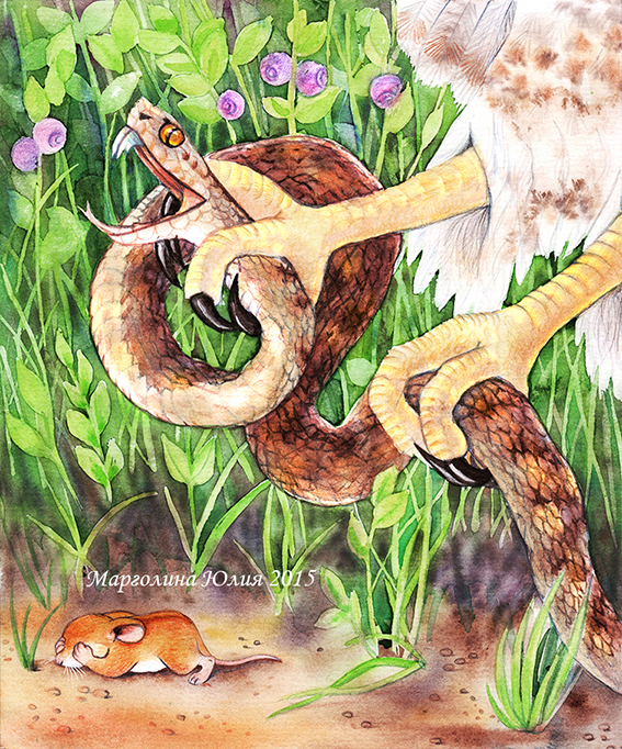 К сказке Дениса Емельянова "Мышонок и подснежник". Права на иллюстрацию выкуплены автором сказки.