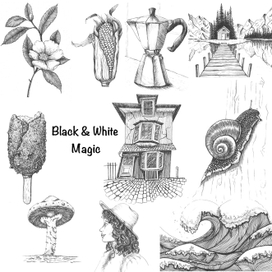 Black & White Magic