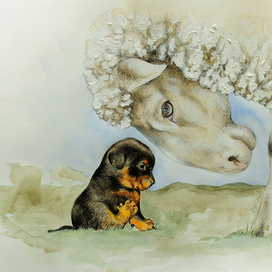 Знакомство с будущим пастухом