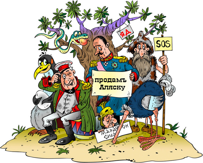 обложка для книги