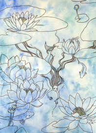 Водяные лилии