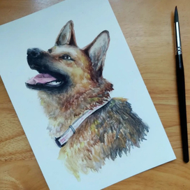 Верный друг