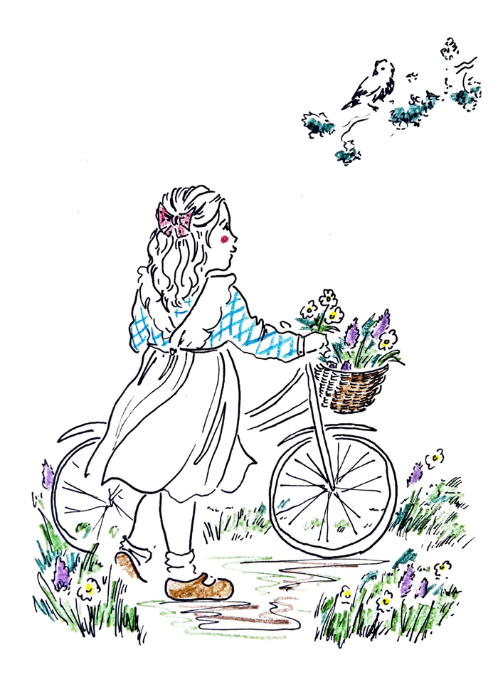 Полевые цветы