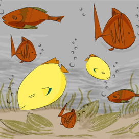 Подводный мир