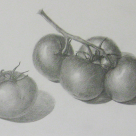 Рисунок Томаты
