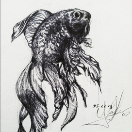 Скетч. Рыба