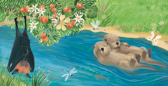 Кто как спит. Издательство Робинс