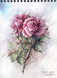 Розовые розы