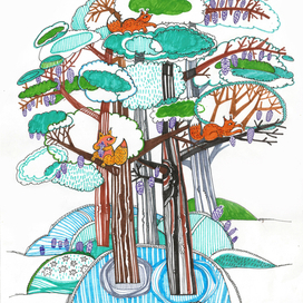 Белки, ежи, сосны, шишки.