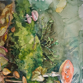 сказки леса 2