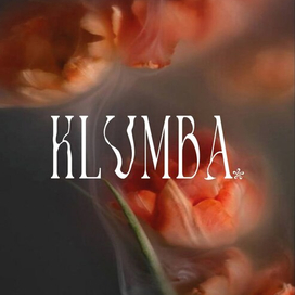 Разработка логотипа 