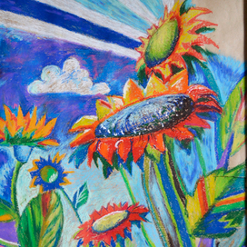 подсолнухи