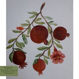 "Веточка граната"