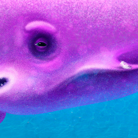 "Влюбленный кит"