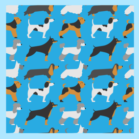 Паттерн. Собачки