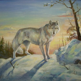 хозяин тайги