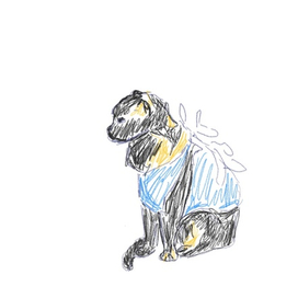 Как может быть нарисован ваш питомец