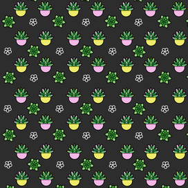 Суккуленты