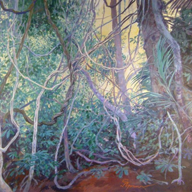 Лиановый лес