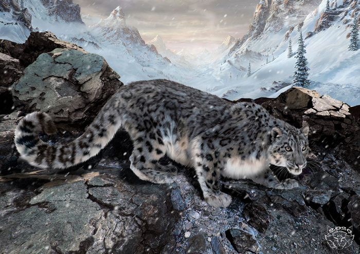 Снежный барс..рис для книги