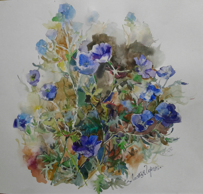 Лесная герань