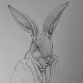 Белый Кролик