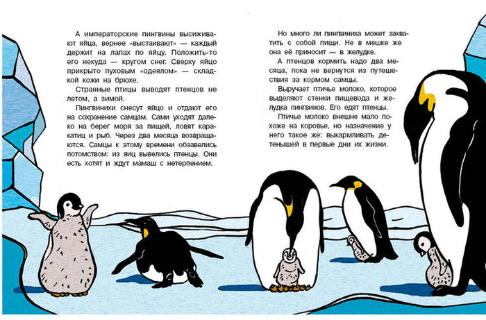 Кто без крыльев живет_06