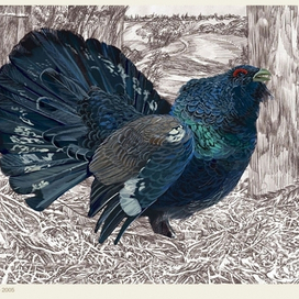 Энциклопедия животных