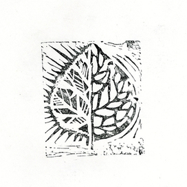 Лист кисти Ниггля