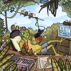 Птичье радио