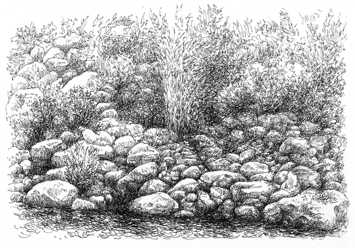 Берег с валунами