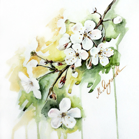 Цветущая вишня🌸