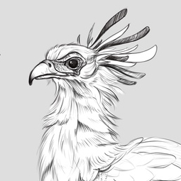 Птица секретарь. Скетчи 