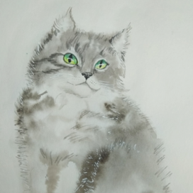кот