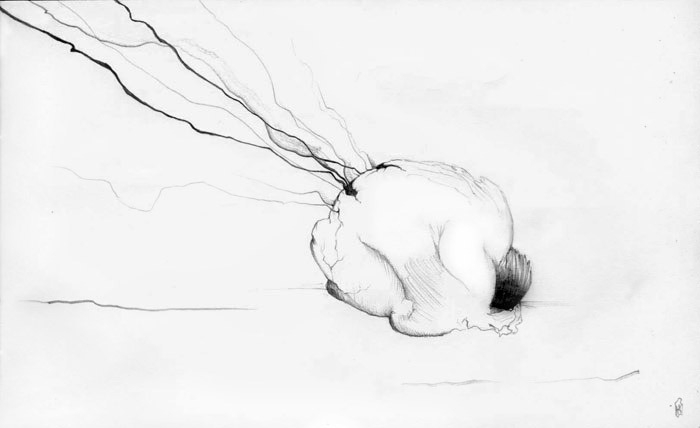 (без названия)