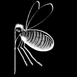 изящная боль