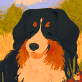 Бернский зенненхунд