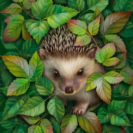 Суровый ёжик