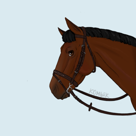 Мой конь Азгард