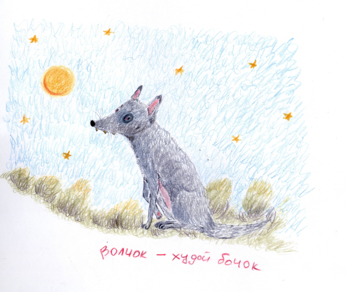 Волчок-худой бочок