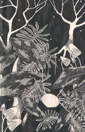 Они вышли из одного места