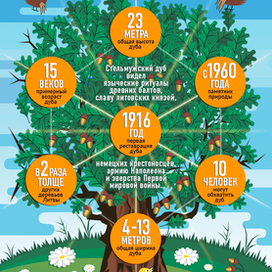 Инфографика. 