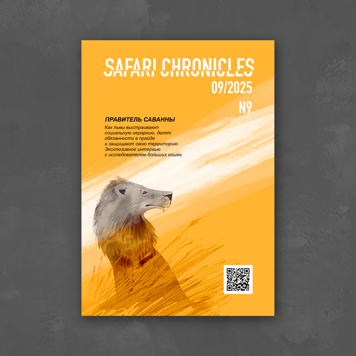 Дизайн обложки 