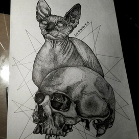 Сфинкс и череп